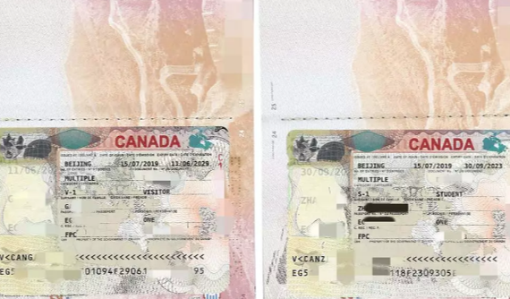 天津拓視海外學生簽證+陪讀旅簽案例-為移民路奠定良好基礎(chǔ)